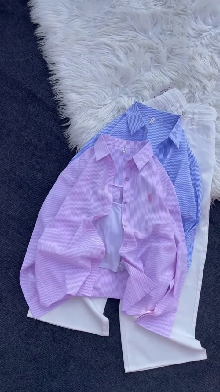 The Trendline Collection – Fashion in Motion