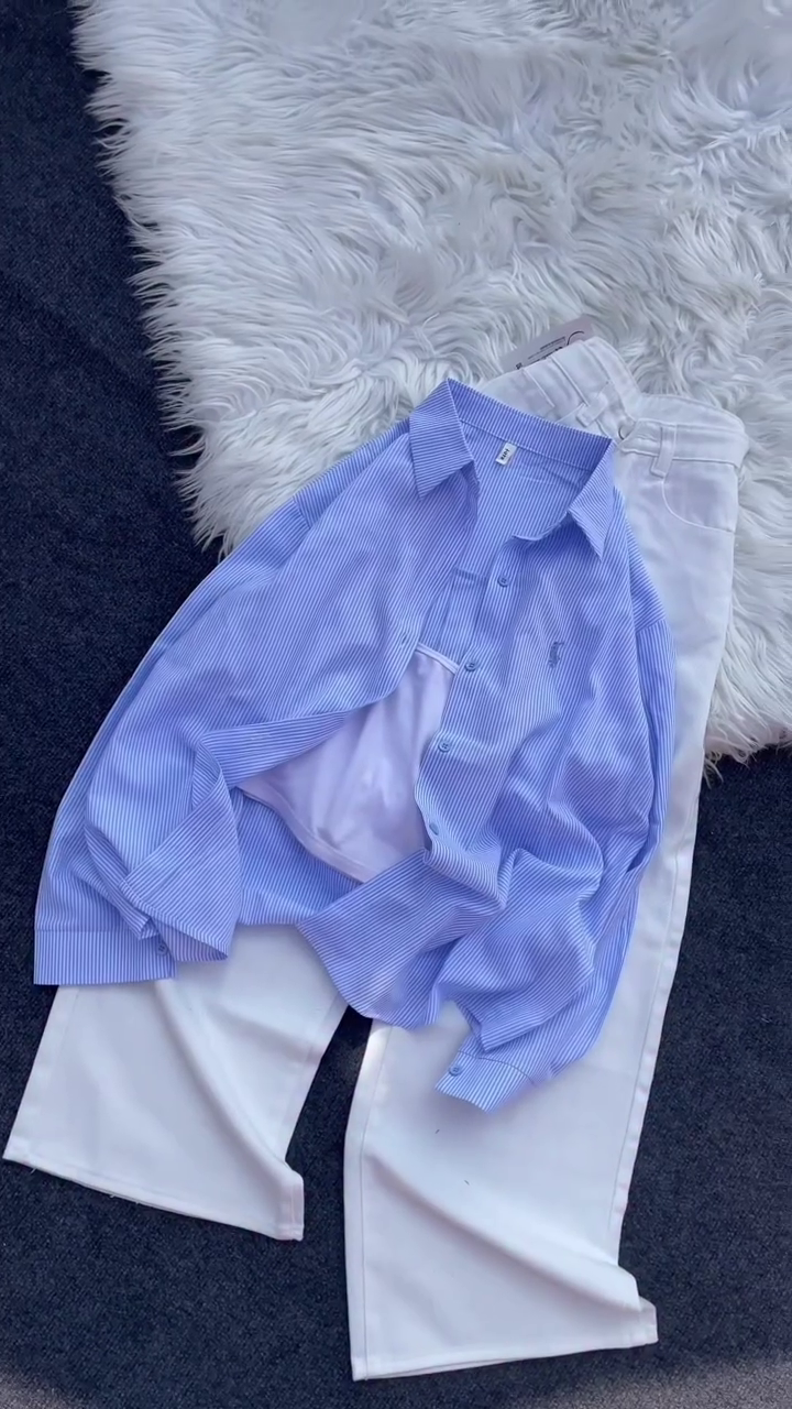 The Trendline Collection – Fashion in Motion